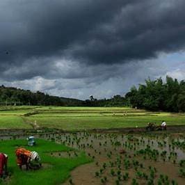 India’s 2026 Monsoon Forecast Could Change Prices, Farming, and Daily Life featured image